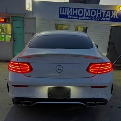 Ольга Федорова